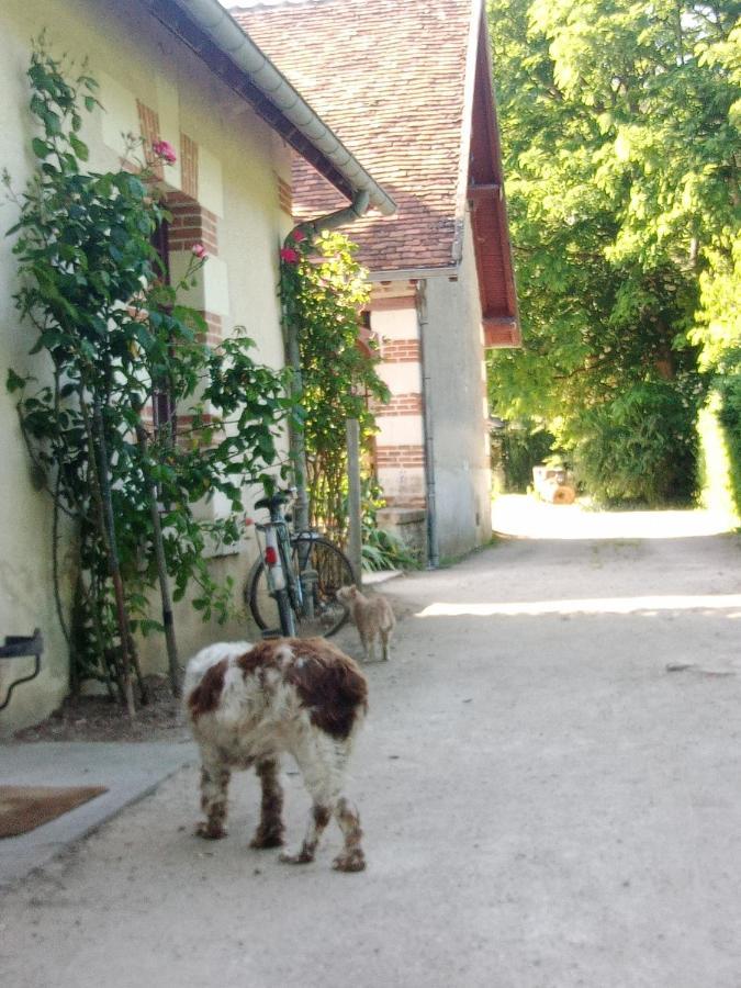 Cottages Et B&B De Troussay Cheverny Exteriör bild