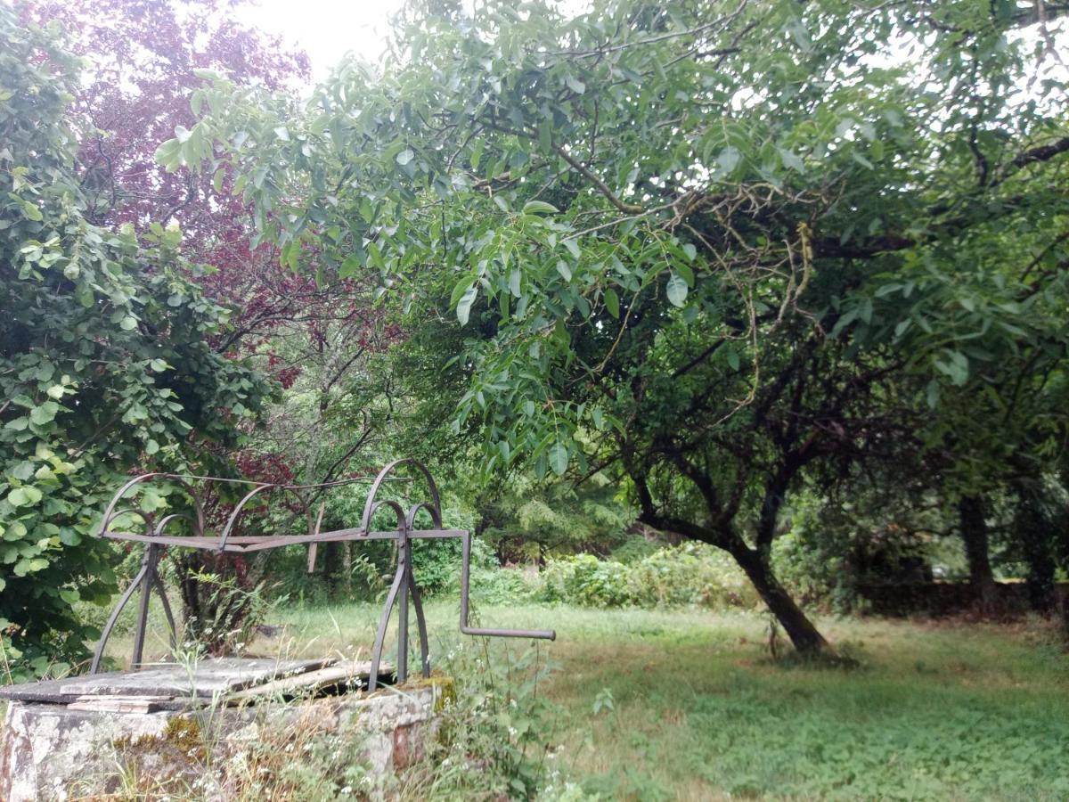 Cottages Et B&B De Troussay Cheverny Exteriör bild
