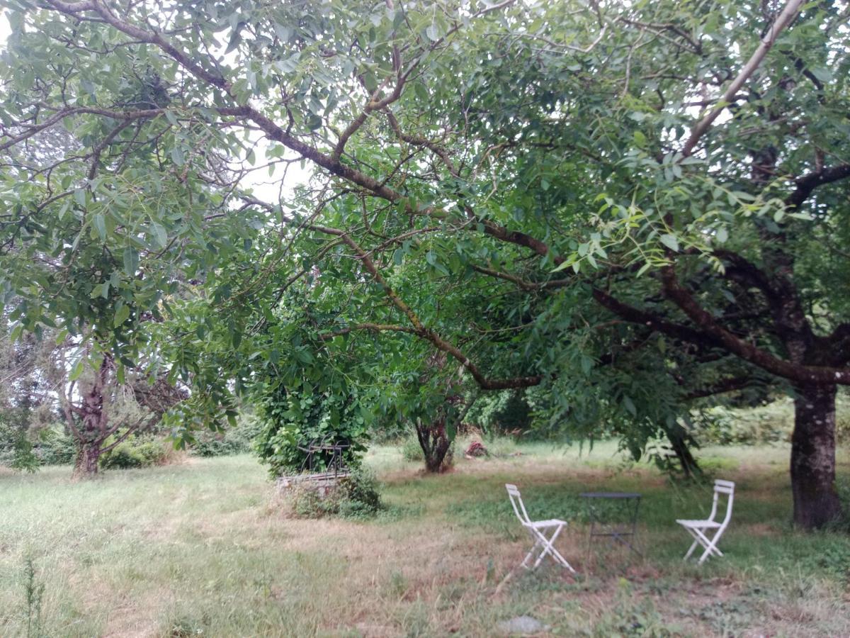 Cottages Et B&B De Troussay Cheverny Exteriör bild